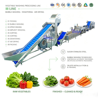 Industriële automatische verwerkingslijn voor bladgroenten en fruit met meertraps wassen, ozonsterilisatie en ontwatering