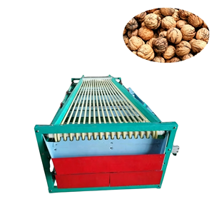 Machine de tri et de calibrage pour tomates, fruits de la passion, maybush, haw, pommes et poires - Product Image 4
