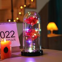 Fleur éternelle conservée dans un dôme de verre pour noël, la saint-valentin et la fête des mères, Offre Spéciale