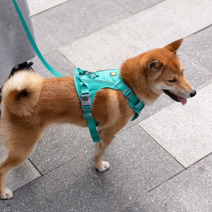 สายจูงสุนัขแบบเสื้อกั๊กหลากสี ป้องกันการรัดคอ สวมใส่สบาย สำหรับสุนัขขนาดเล็ก กลาง ใหญ่ อุปกรณ์สำหรับสัตว์เลี้ยง - Product Image 6