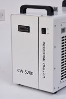 Refroidisseur laser CO2 industriel Lizhiyuan CW5200 220V, facile à utiliser, longue durée de vie, prix compétitif, composant de pompe principal