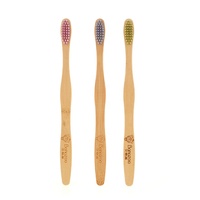 Fabricants célèbres 100% organique biodégradable écologique en bambou avec logo personnalisé brosse à dents