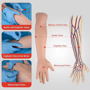 Y Tế Tiên Tiến Silicone Mô Hình Cho Y Tá Thực Hành <span class=keywords><strong>Venipuncture</strong></span> Cánh Tay Đào Tạo Và Tiêm Cho Các Trường Học Y Tế Khoa Học Sử Dụng - Product Image 5