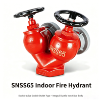 Hydrant d'incendie intérieur à double sortie SNSS65 de 2,5 pouces en fonte ductile rouge 1,6 MPa pour la protection incendie des bâtiments