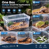 Boîtes d'élevage et d'alimentation en plastique de petite taille pour animaux de compagnie, boîtes de protection pour araignées, grenouilles cornées, coléoptères, vers à soie, plateau en plastique pour bébés animaux