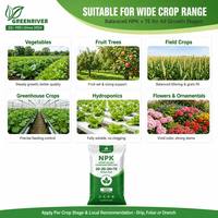 GREENRIVER NPK Pupuk Senyawa Larut Air 100% Terlarut Pupuk Pertanian untuk Nutrisi Tanaman
