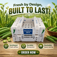 Boîte d'emballage en polypropylène ondulé personnalisée empilable pour okra, résistante aux basses températures, en gros