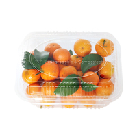 Biologisch Afbreekbare Pla Mais Plastic Voedselverpakking Clamshell Containers Milieuvriendelijke Plastic Verpakking