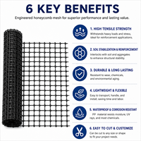 Géogrille en PP vierge haute résistance à la traction, résistante aux UV, biaxiale, en stock, expédition rapide pour la stabilisation des sols et des chaussées routières
