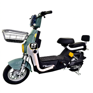 Kit de moteur de vélo électrique vintage à trois roues Linyi, 48V, 1000W, 20Ah, 1500W, avec batterie amovible, pour la vente en Inde - Product Image 1