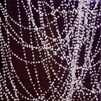 Lustre contemporain en cristal ANNO, design branche, éclairage personnalisé pour villa et escalier
