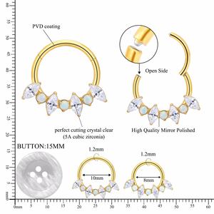 ASTM F136 G23 titane <span class=keywords><strong>Piercing</strong></span> Septum nez anneau cerceau CZ opale 16G <span class=keywords><strong>Helix</strong></span> Daith Tragus Clicker Cartilage conque boucle d'oreille femmes <span class=keywords><strong>bijou</strong></span> - Product Image 2