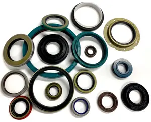 TC NBR FKM FPM High Abrasion Resistance National Industrial Shaft Oil Seals