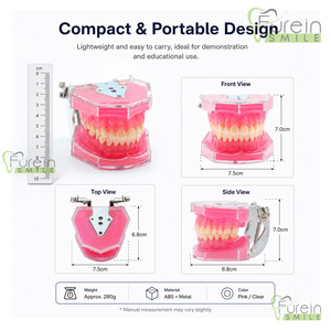 Modelo Dental Estándar para Estudio y Enseñanza con Todos los Dientes Extraíbles, Material de Gel de Sílice, Modelo de Dientes Suaves para Demostración Dental - Product Image 3