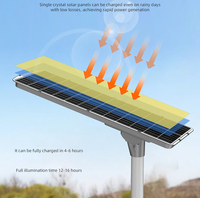 Lampadaire Solaire LED Intégré 200W IP65 en Aluminium Moulé Sous Pression pour Autoroute Commerciale, Ferme, Parking, CE, Petit MOQ