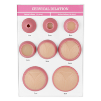 Ensemble de modèles de dilatation cervicale de 8 (base A4), modèle en silicone, modèle d'examen gynécologique, pour usage en laboratoire