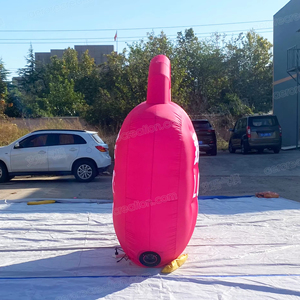 <span class=keywords><strong>Aero</strong></span> 2.4m largeur personnalisé géant publicité sac gonflable dessin animé - Product Image 3