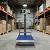 Balance industrielle promotionnelle haute capacité avec écran LCD et plateforme en acier inoxydable