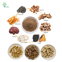Capsules OEM personnalisées de champignons Lion's Mane, Cordyceps, Turkey Tail, Maitake, Reishi, Chaga