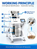 Trieur optique CCD, précision de 99,99 %, 50-3000 kg/h, machine de tri automatique pour céréales, haricots, noix, thé