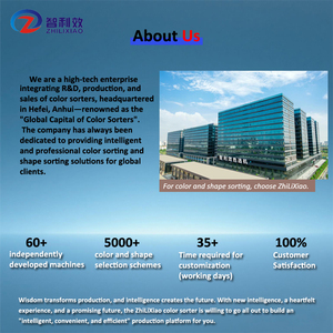 Modulare di smistamento di piselli e ceci selezionatrice di colori per grammi funzione di Sorter di forma - Product Image 3