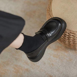 2025โลฟเฟอร์ส้นหนาสไตล์ใหม่สำหรับผู้หญิงสไตล์อังกฤษรองเท้าสลิปออนหนังขนาดเล็กพื้นรองเท้าพีวีซียอดนิยมออนไลน์สำหรับฤดูใบไม้ร่วง - Product Image 1
