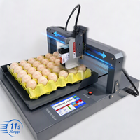 Máquina de Codificación Inteligente de Eje XY Multi-idioma para Etiquetas de Huevos, Tarjetas, Baterías y Componentes Electrónicos