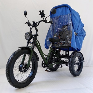 Vehículo de Transporte, Bicicleta de 3 Ruedas 2024, Triciclo con Neumáticos Anchos y Toldo - Product Image 4