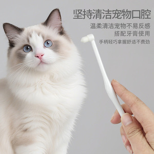 Brosse à dents pour animaux de compagnie, poils doux en nylon blanc pour chats et chiens, soins bucco-dentaires - Product Image 2