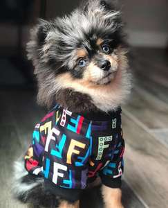 Ropa transpirable cómoda para mascotas, camiseta de diseño para cachorros y gatos de verano - Product Image 4