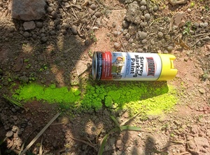 طلاء سائل طلاء مبني على المذيبات من Magic - Product Image 3