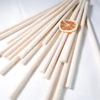 Primo Quality Round Bamboo Stick for Art & Craft - Round Bamboo Stick for  Art & Craft . Buy Unfinished Round Bamboo Sticks,400 Pcs, 9 Length,for DIY  Model Building Craft toys in