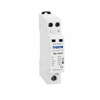 Parafoudre BR275-40DP 2P Type 3 parafoudre AC parasurtenseur parafoudre en plastique pour équipement électrique haute Performance