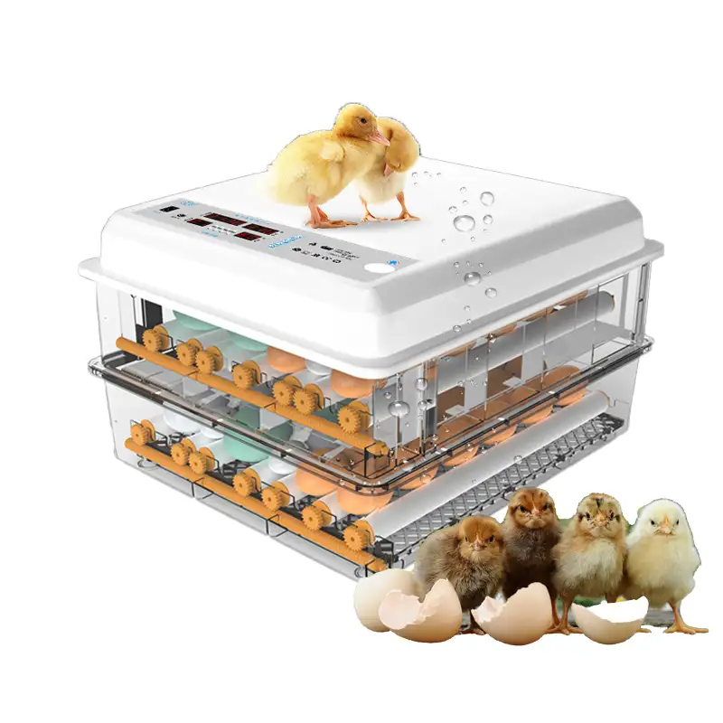 Semoir de volaille pour 60 œufs, machine d'éclosion de poulet, incubateur d'œufs