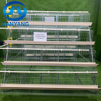 Système de cages automatiques de type A galvanisées à chaud pour l'élevage de poules pondeuses dans les projets d'élevage avicole