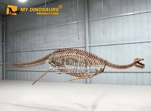 Mon modèle <span class=keywords><strong>de</strong></span> squelette <span class=keywords><strong>de</strong></span> Plesiosaurus, animal préhistorique artificiel, <span class=keywords><strong>simulation</strong></span> Dino <span class=keywords><strong>DS</strong></span>-114 - Product Image 2
