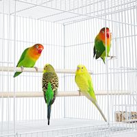 Cages à oiseaux pliables en fil métallique blanc 76X45X45 cm Perruches et autres oiseaux Cages d'élevage de perroquets Cage de vol avec perchoirs