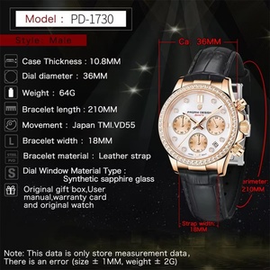 PAGANI DESIGN PD1730 Fashion Multifunctional Ladies Quartz <b>Watches</b> Luxury Sapphire Glass <b>Watch</b> for Women Nice Packing Gift Reloj - Product Image 6