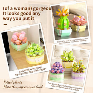Ensemble de blocs de construction de plantes succulentes, jouet STEM, motricité fine, coordination œil-main, décoration de la maison, cadeau pour enfants - Product Image 4