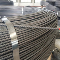 Assurance qualité ASTM A421 3mm 4mm 5mm 6mm fil d'acier 1670MPa 1770MPa 1860MPa fil PC en retrait faible Relaxation précontraint