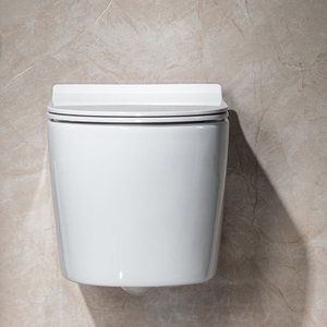 <span class=keywords><strong>Cister</strong></span> oculto pared sospeso flush rimfree WC lavado bidé deshabilitar accesorios de baño mujeres artículos sanitarios al ras de pared armario barato - Product Image 5