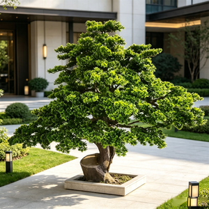 Árbol de Pino Artificial de Bienvenida, Estilo Bonsái Grande, Árbol de Cedro Falso, Anti-UV, para Interiores y Exteriores, para Patio de Villa, Vestíbulo de Hotel, Paisajismo - Product Image 1