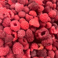 Iqf Bevroren Verse Frambozenfruit Bevroren Frambozen Bulkstijl Verpakking Cif Fca Fob Cfr Exw