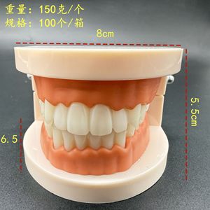 Modèle dentaire standard pour adultes, modèle dentaire, modèle d'entraînement et d'enseignement pour élèves de maternelle, modèle orthodontique - Product Image 1