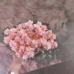 Stella brasiliana fiori secchi conservati fiori piccola montagna margherita corona di fiori per decorazioni natalizie - Product Image 5