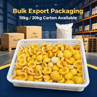 IQF Diepvries Gele Perzikhelften Ontpit 10kg Karton Conserven Bakkerij Yoghurt Drank Voedingsmiddelenfabriek Bulk Groothandel Export