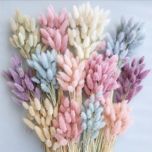 60Pcs Thỏ Đuôi Cỏ Bảo Quản Thỏ Đuôi Cỏ Khô Bó Hoa Cho Boho Trang Trí Nội Thất - Product Image 3