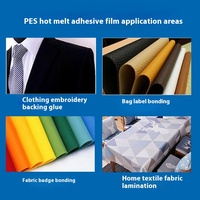 Película adhesiva de bordado de doble cara impermeable de baja temperatura PES, parte trasera de fusión en caliente para ropa, tela de cuero para coser