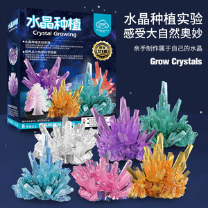 <b>Crystal</b> <b>Growing</b> <b>Kit</b> For Kids Science Experiment DIY Craft Toy With <b>Crystal</b> Powder Geometric Shape Manual Control Unisex - Product Image 3