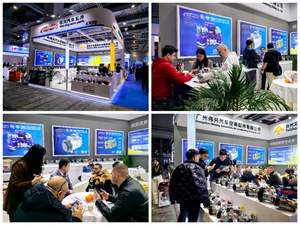 OEM 7813A385 7813A526 Pompe de climatisation de voiture 12V Compresseur de climatisation automatique VCR08 6PK pour Mitsubishi Attrage pour <span class=keywords><strong>Spacestar</strong></span> 1.2 WXMS069 - Product Image 5